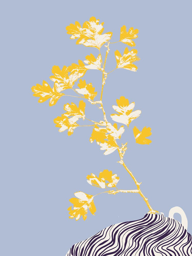 Plant based happyness Hawthorn still life