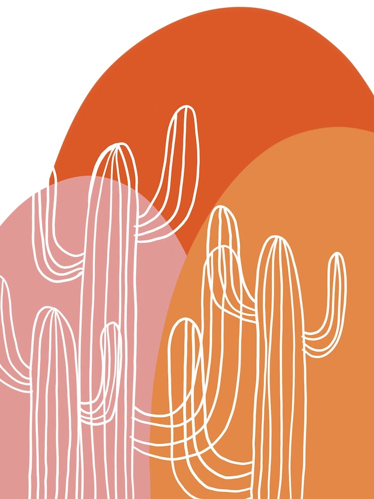 Trio de Cactus