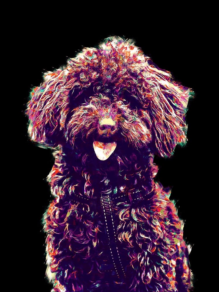 Dog Colorful