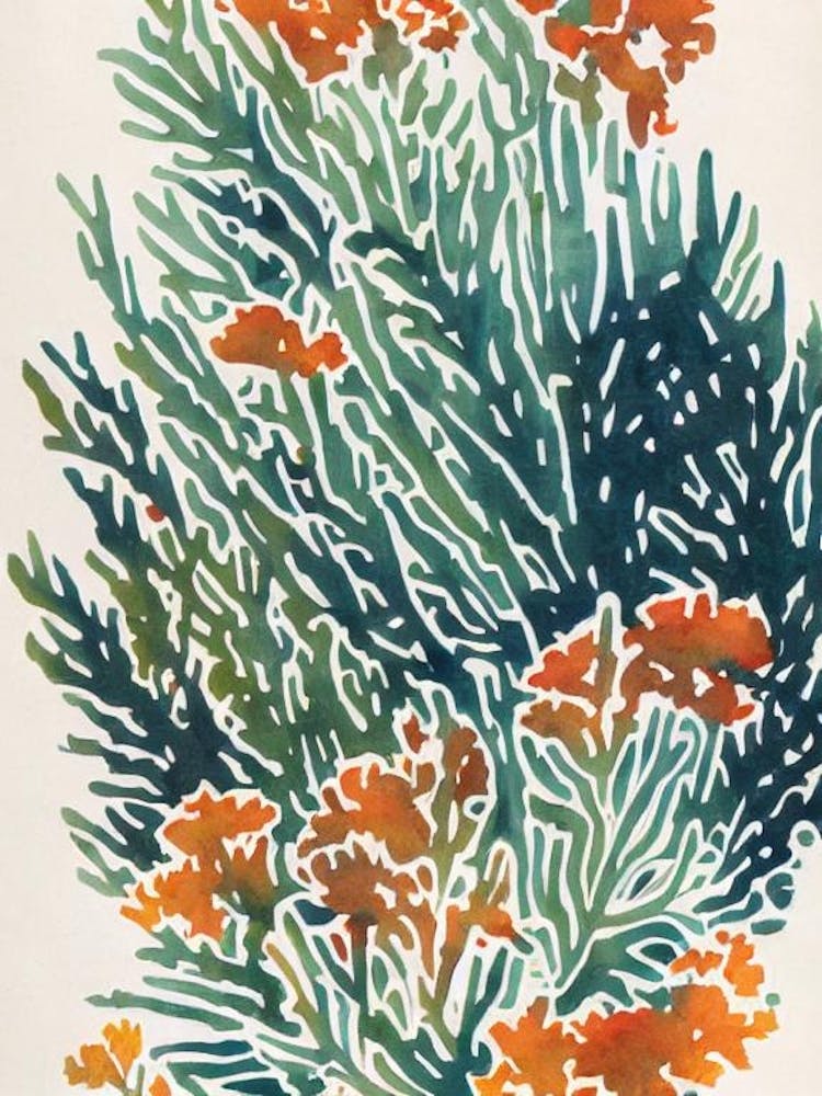 Acropora Lokani Vintage Graphic Watercolour