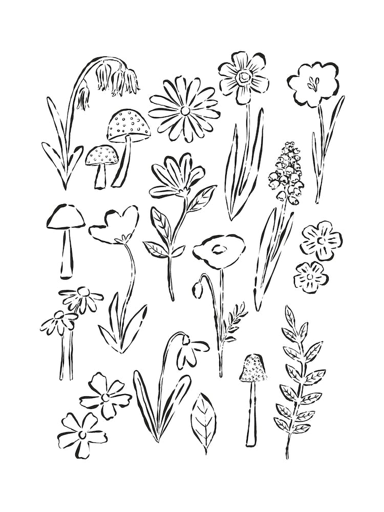 Forest Flowers Outlines