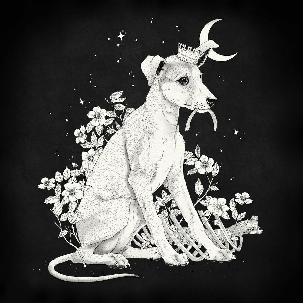 Night Gardening Square