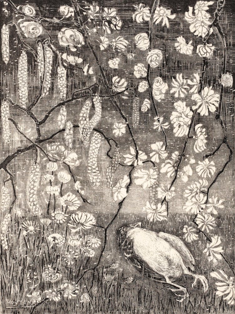 Dead Bird Under Hazel And Honeysuckle Branches (1905), Theo Van Hoytema