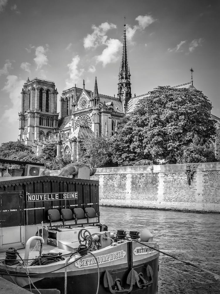 Cathédrale Notre Dame & Rives de la Seine