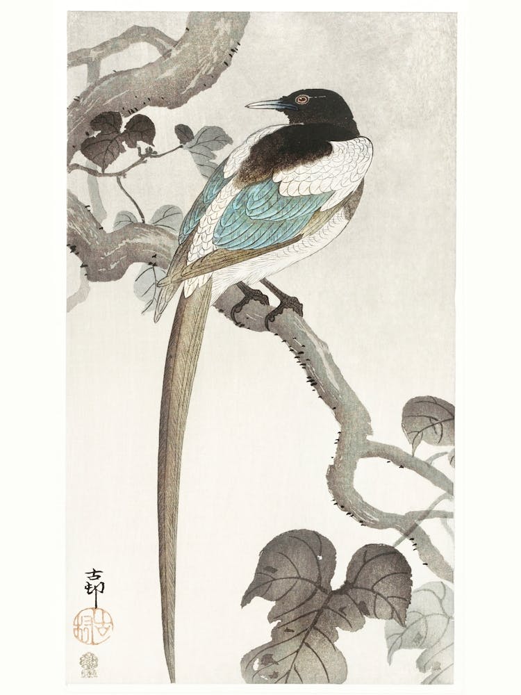 Magpie On Tree Branch (1900 1910), Ohara Koson