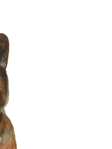 Corgi With Wineglass