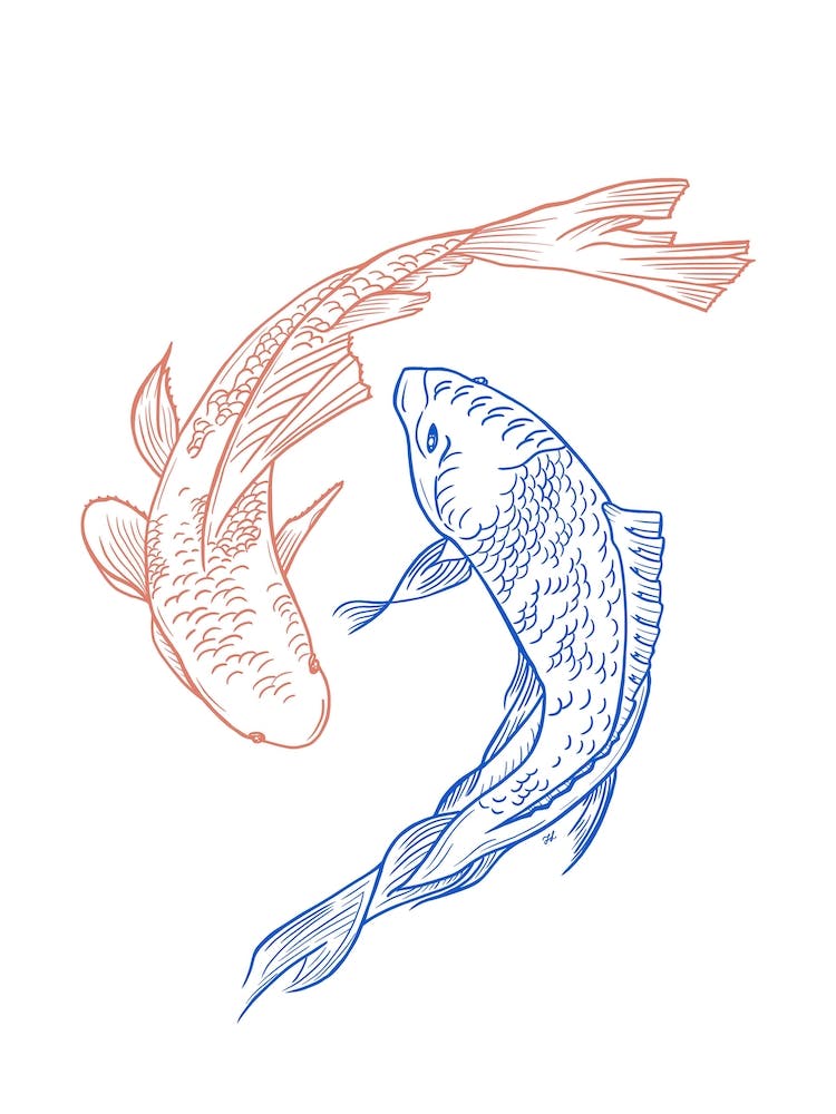 Red And Blue Koi Fish