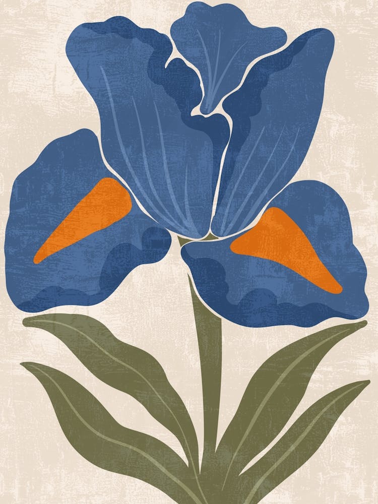 Blue Iris