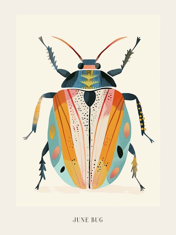 Colourful Insect Illustration June Bug 18 Poster