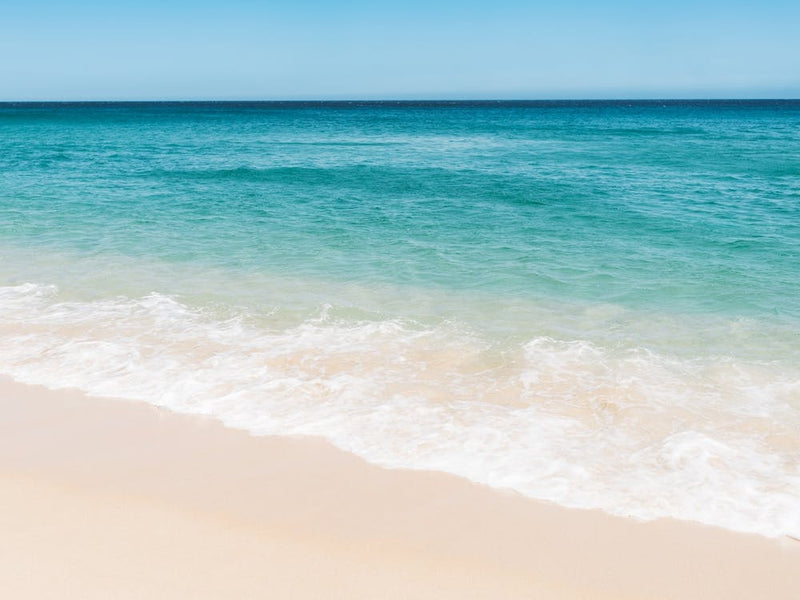 Cabo San Lucas VI