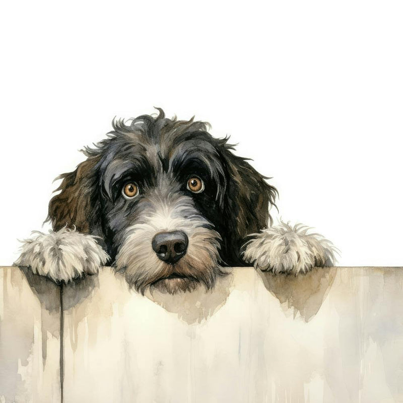 Schnauzer 29