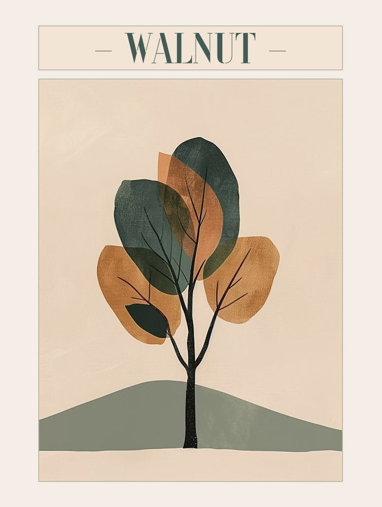 Walnut Tree Minimal Japandi Illustration 2 Poster