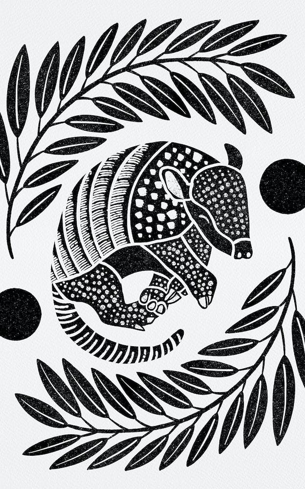 Armadillo   Black Silhouette