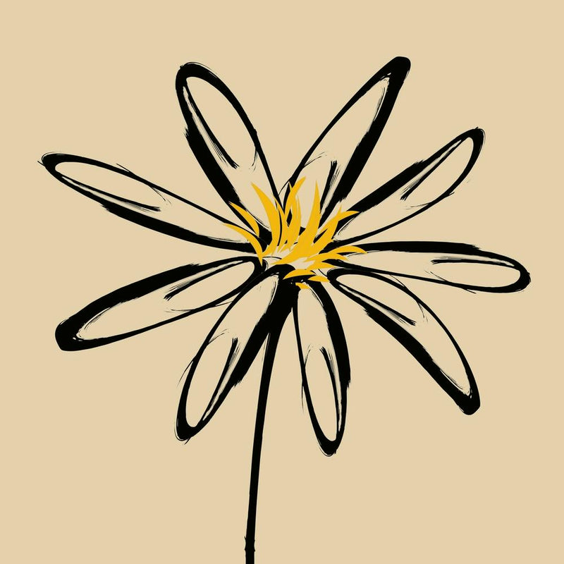 Daisy Cream