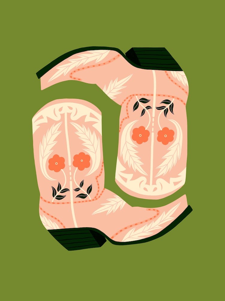 Fancy Boots In Pink And Green