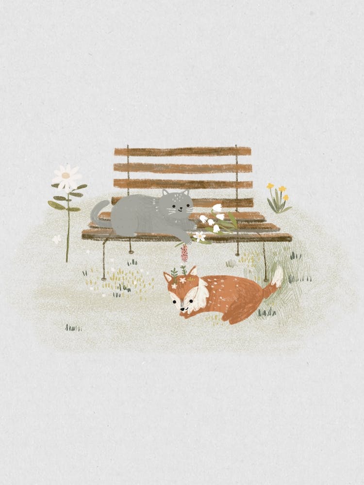 Cat And Fox