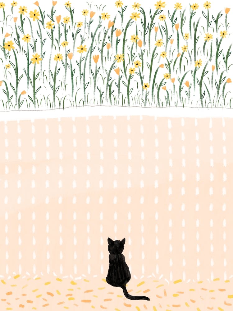 Black Cat Watching The Rain