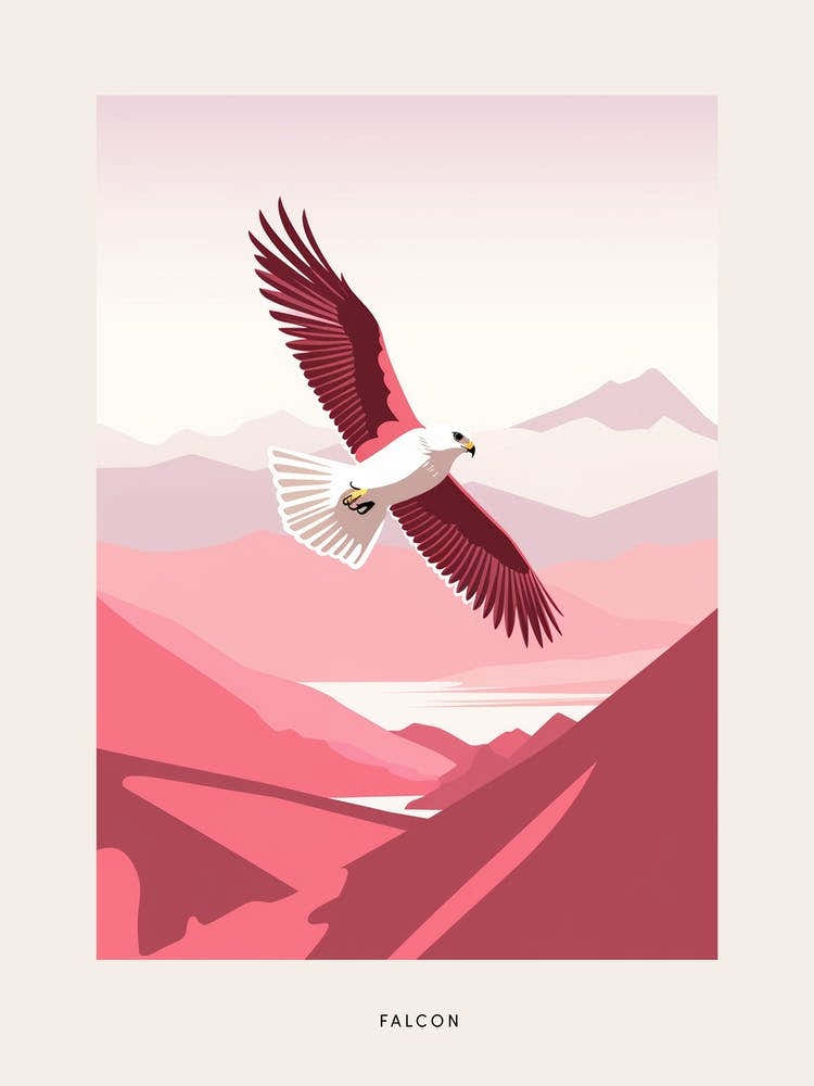 Minimalist Falcon 1 Bird Poster