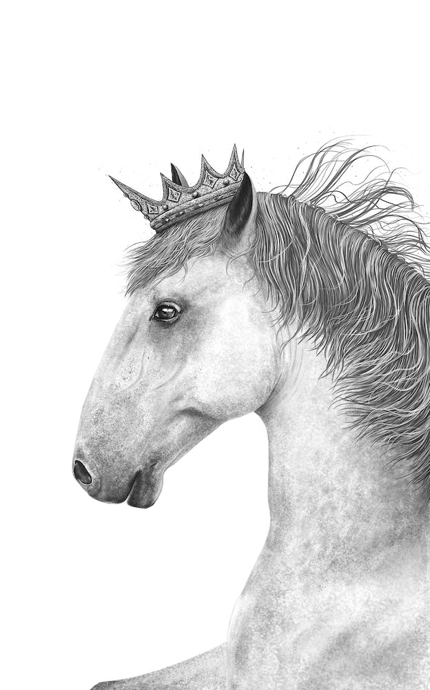 King Horse