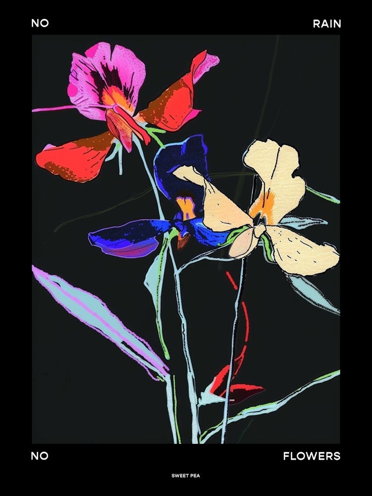No Rain No Flowers Poster Sweet Pea 3