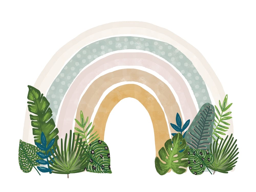 Jungle Rainbow
