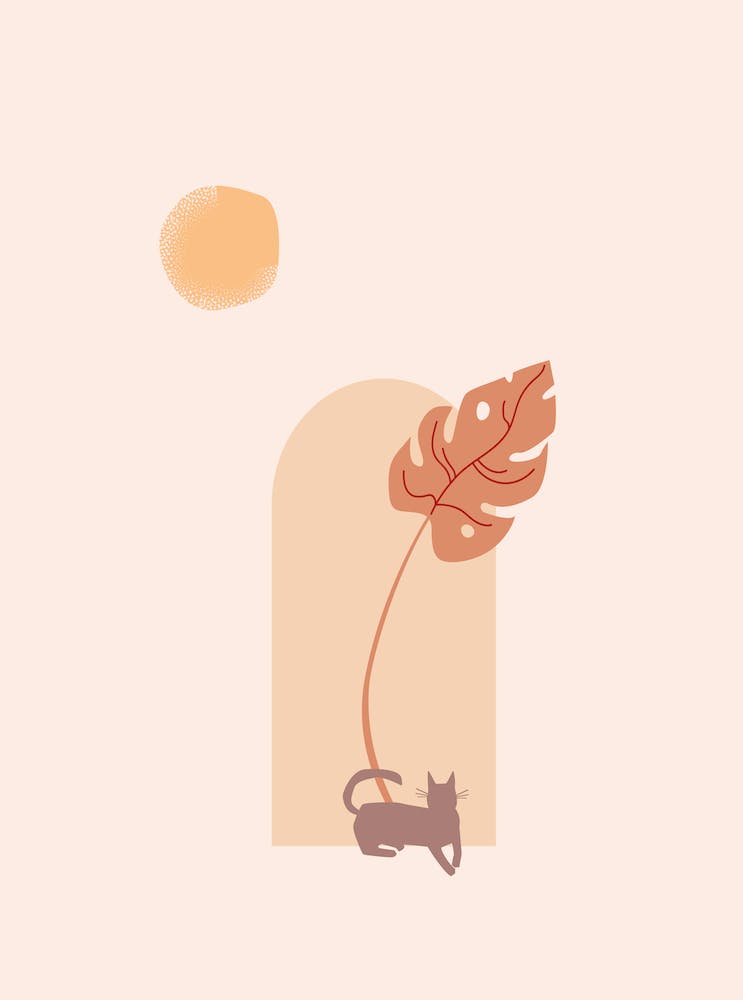 Marrakesh Minimalism