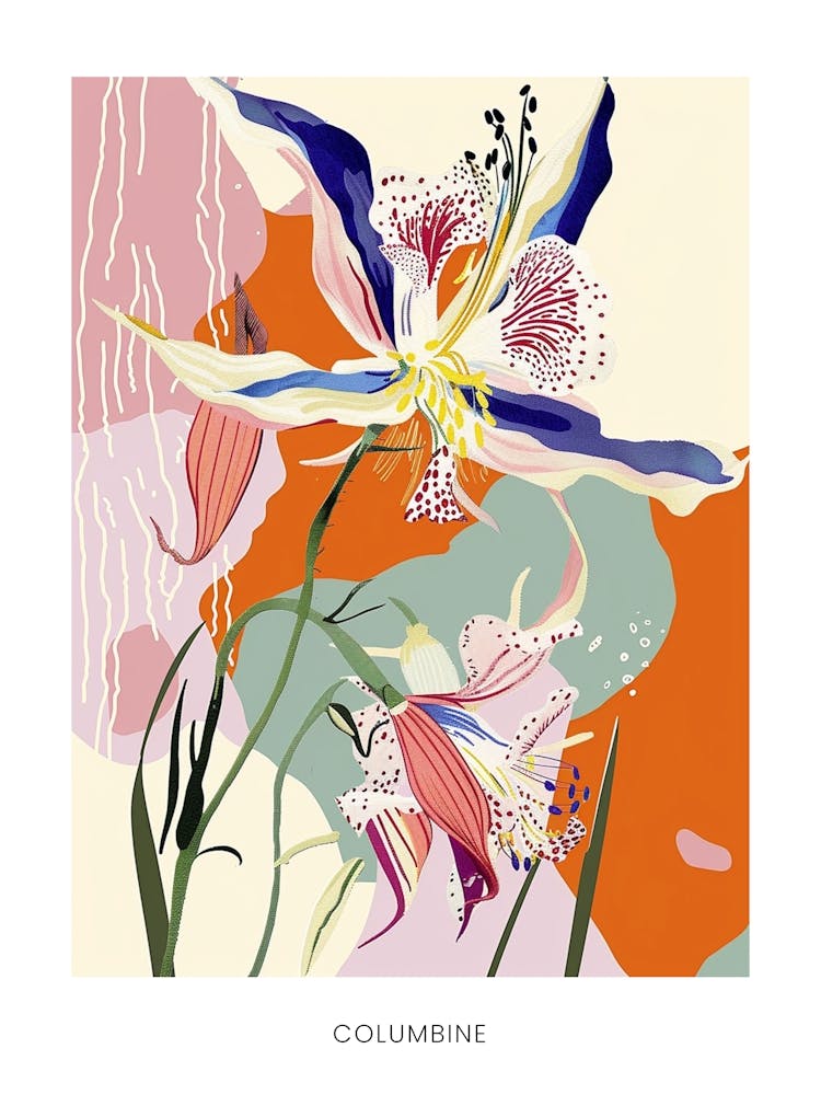 Affiche Illustration Florale Colorée Colombine 3