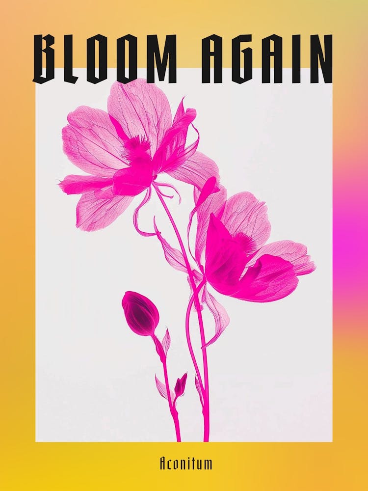 Hot Pink Aconitum 2 Poster