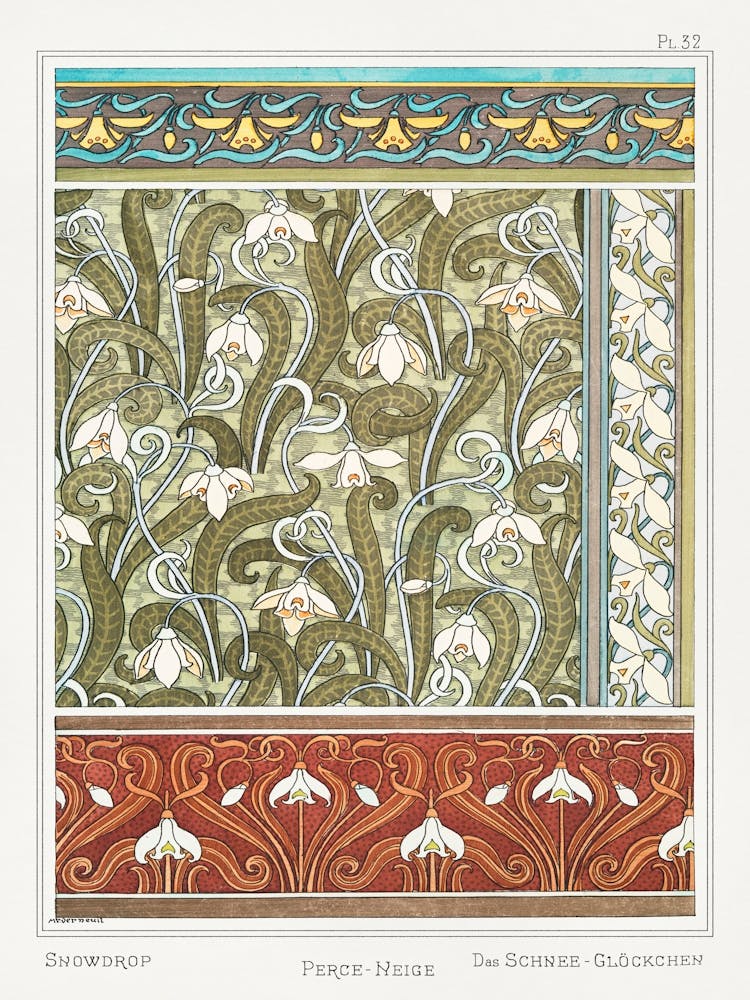 Perce-neige de The Plant And Its Ornamental Applications (1896) - Maurice Pillard Verneuil 1