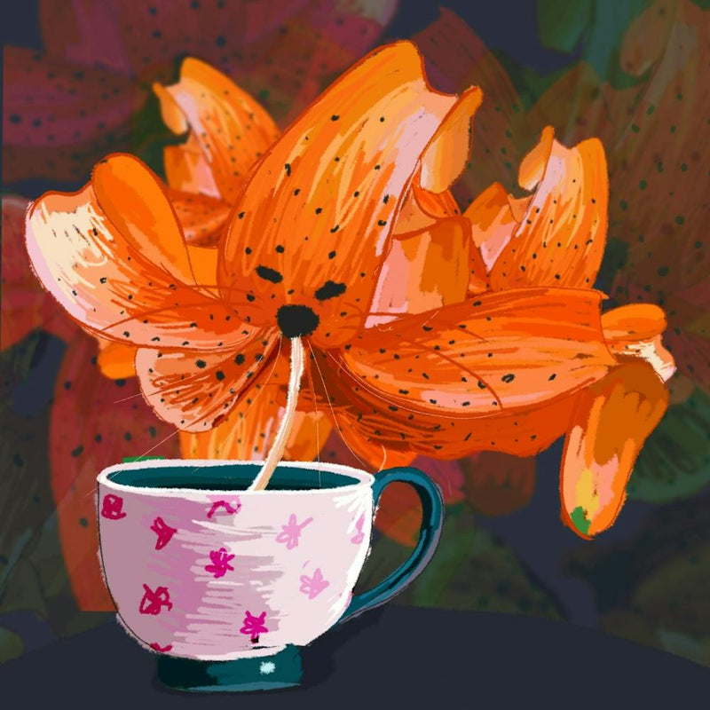 Tiger Lily that came for tea