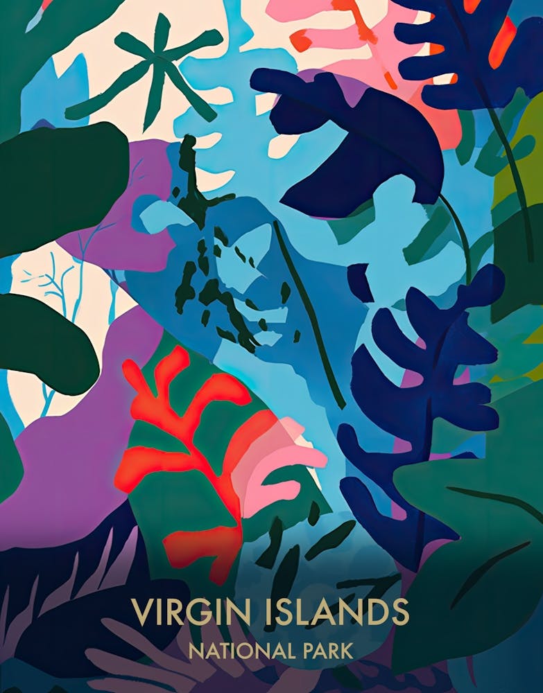 Virgin Islands National Park Affiche de Voyage Style Matisse 4