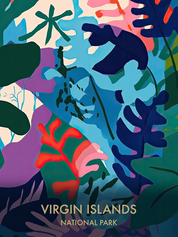 Virgin Islands National Park Travel Poster Matisse Style 4