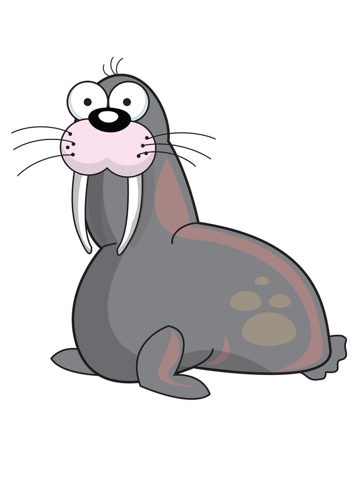 Cartoon Walrus