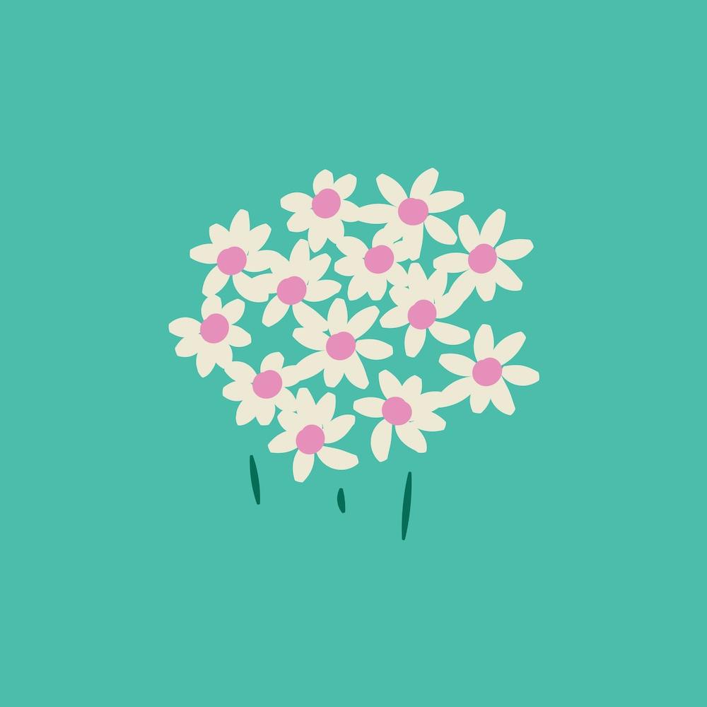Marguerites de Jardin Carré