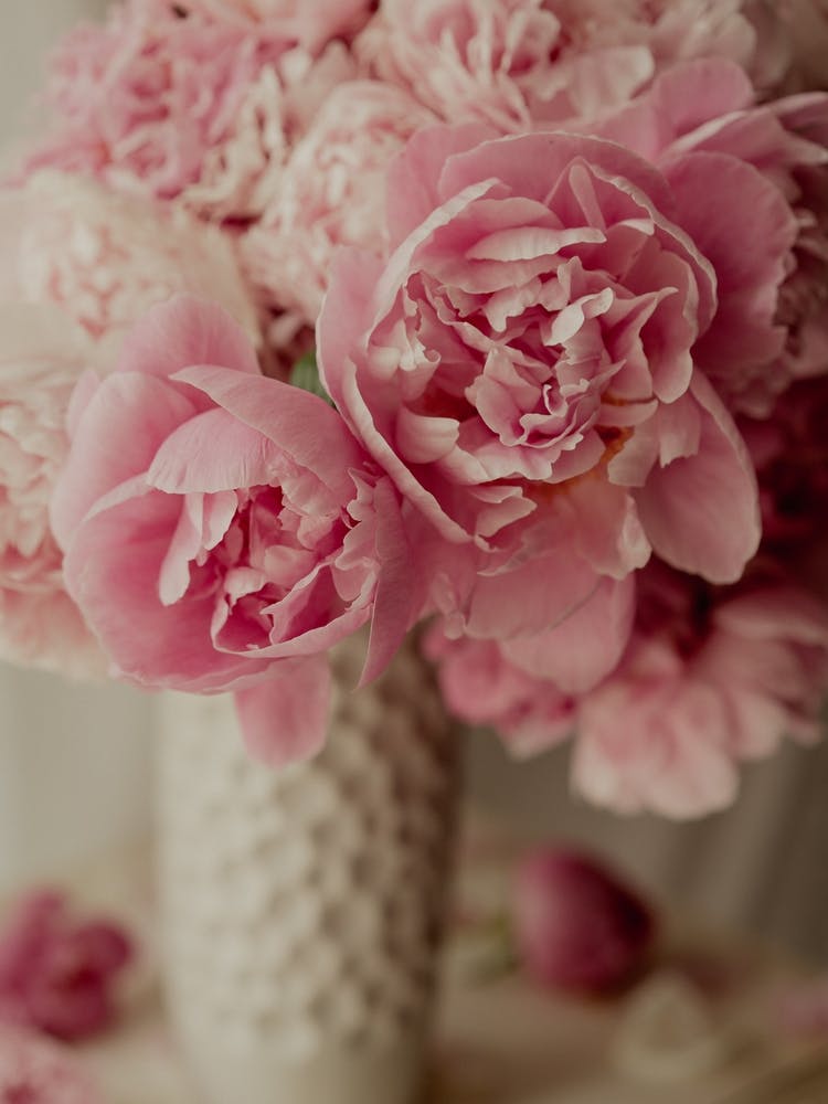 Ruffled Peony Petals