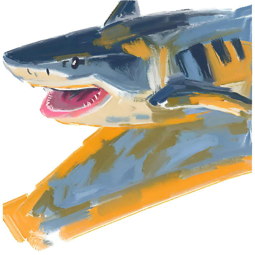 Tiger Shark 02