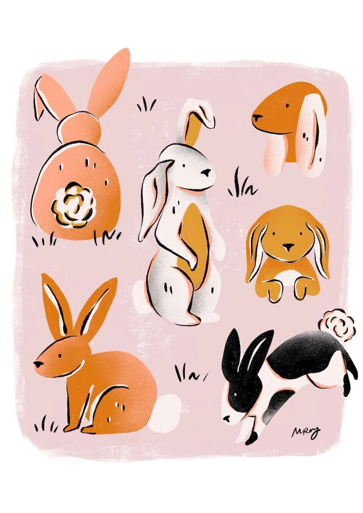 Rabbits
