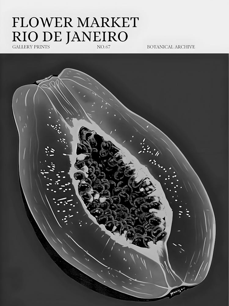 Flower Market Rio De Janeiro