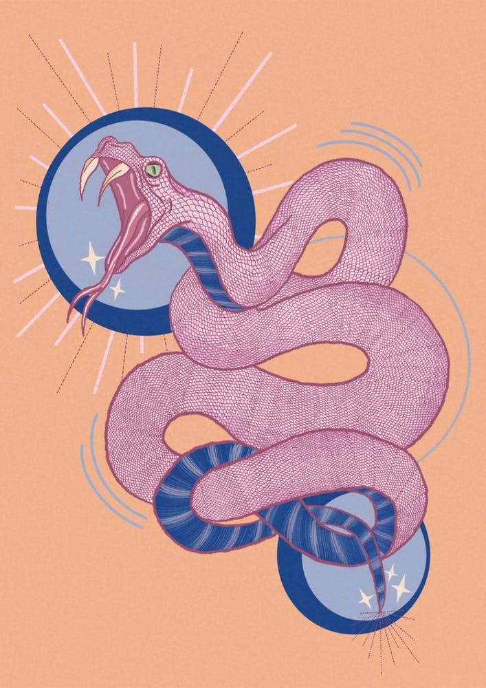 Orange Colourful Snake Illustration