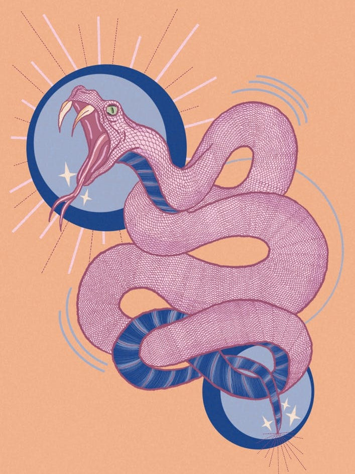 Orange Colourful Snake Illustration