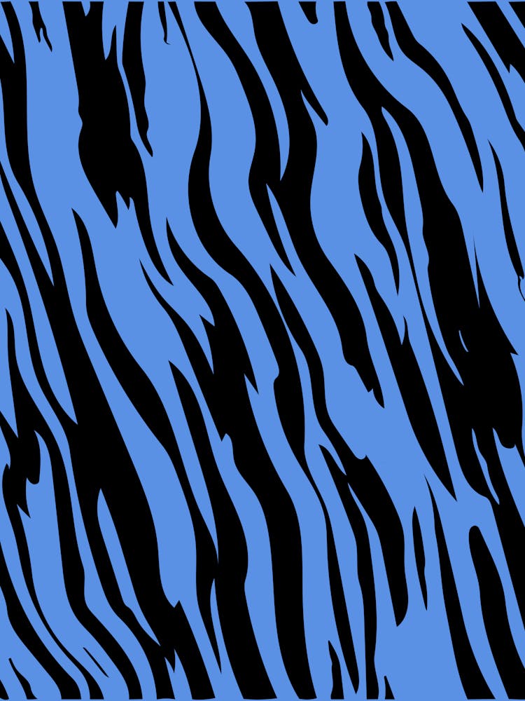 Zebra Stripes 11