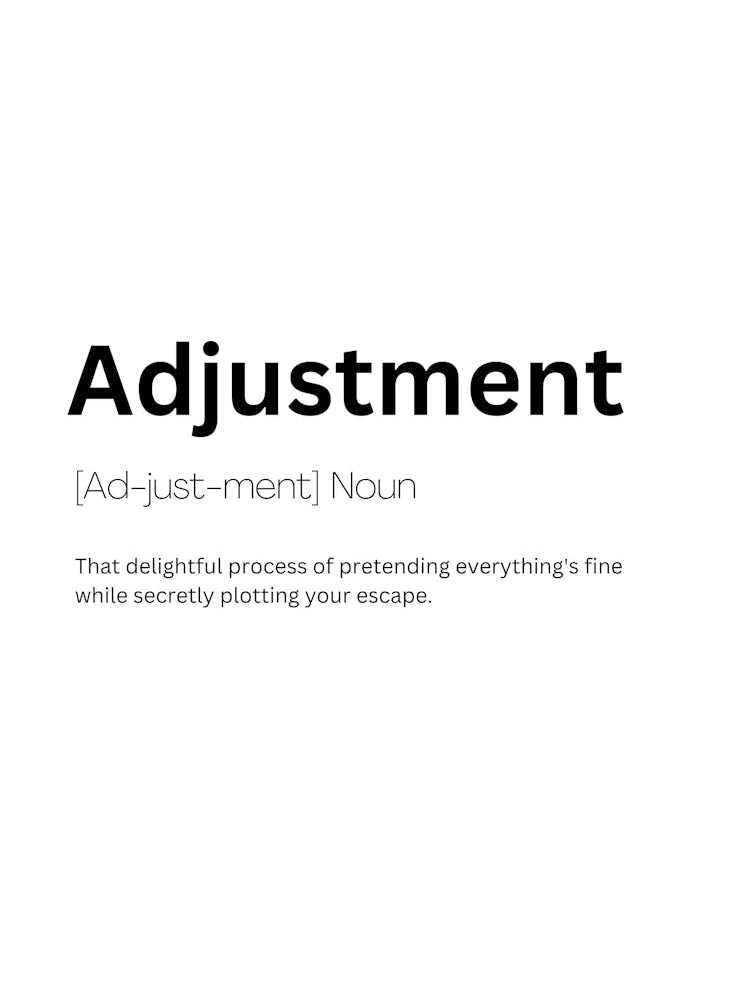 Adjustment Definition Meaning 1