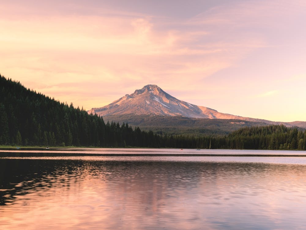 Mount Hood Summer At The Lake