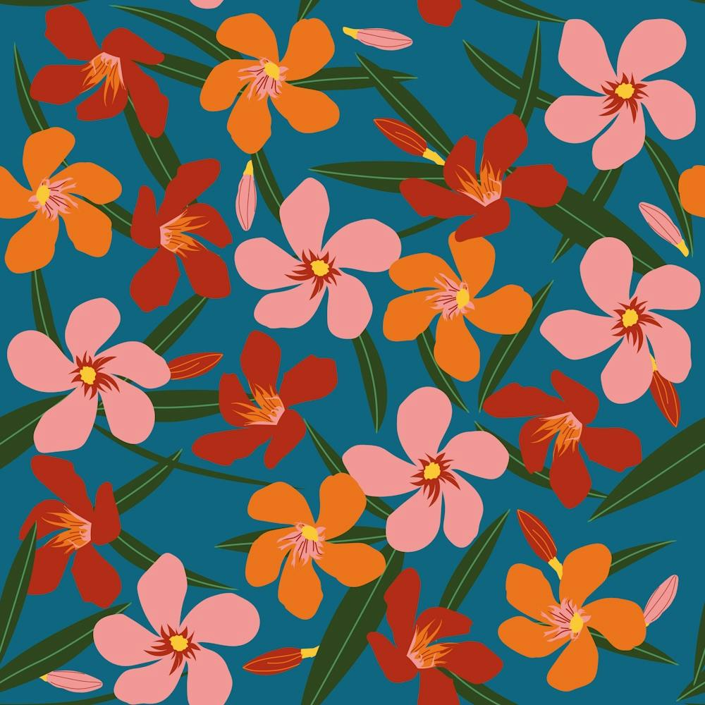 Pink red orange oleander on blue
