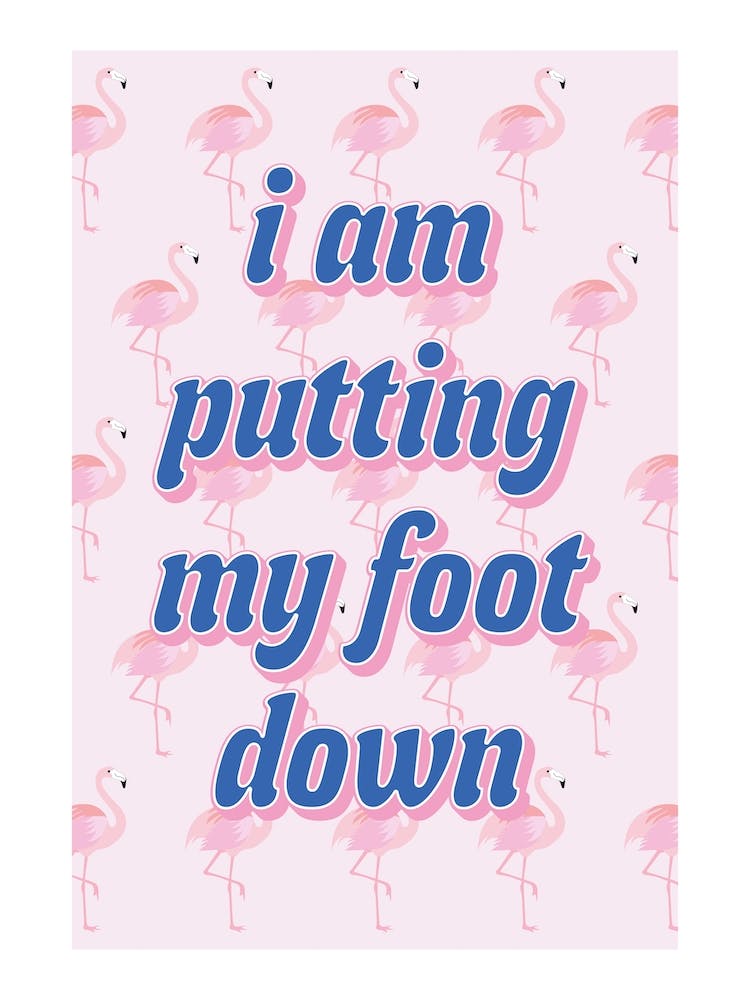 I Am Putting My Foot Down Flamingo Pattern