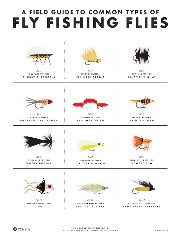 field guide to fishing lures Fly Fishing Flies Field Guide Art Print by Qwintco – Fy!