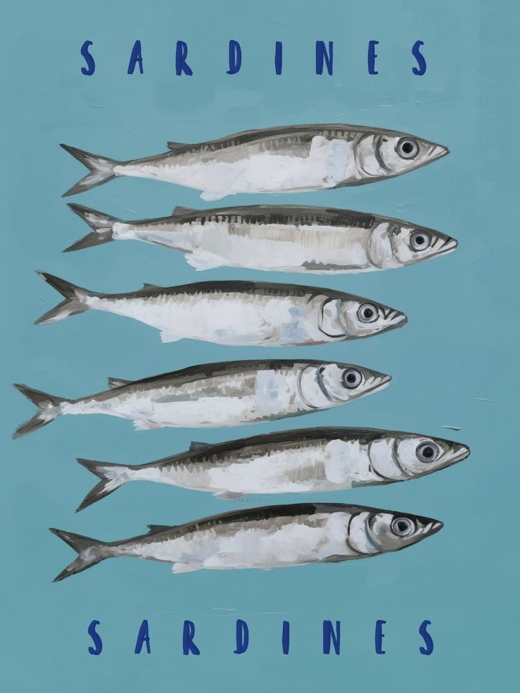 Sardines Typography