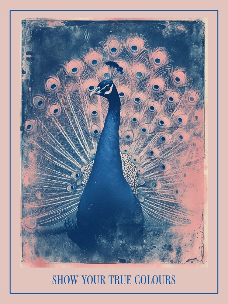 Pink & Blue Peacock Cyanotype Inspired Poster