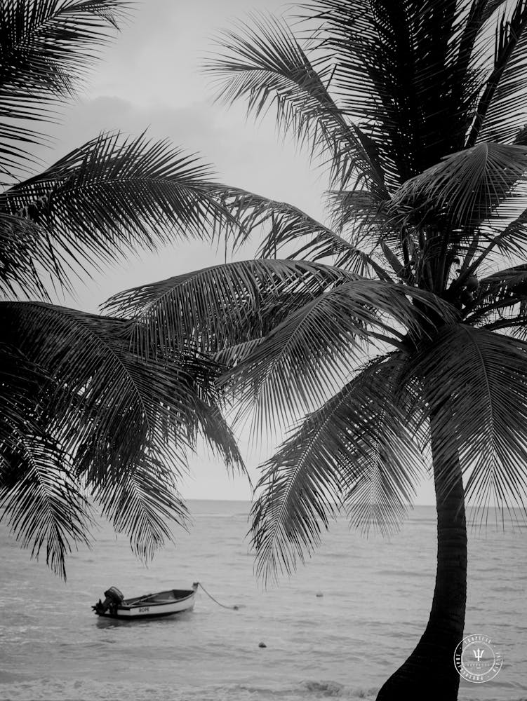 Ruhiger Barbados Strand