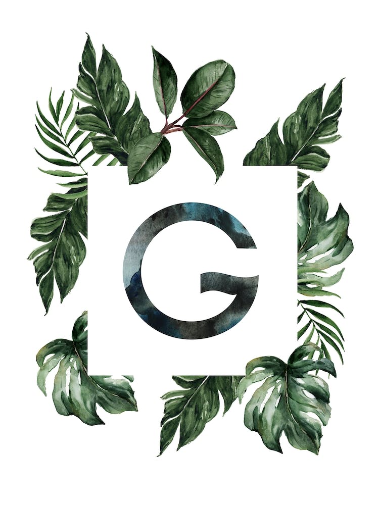 Botanical Alphabet G